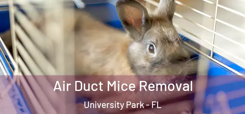  Air Duct Mice Removal University Park - FL