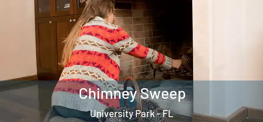 Chimney Sweep University Park - FL