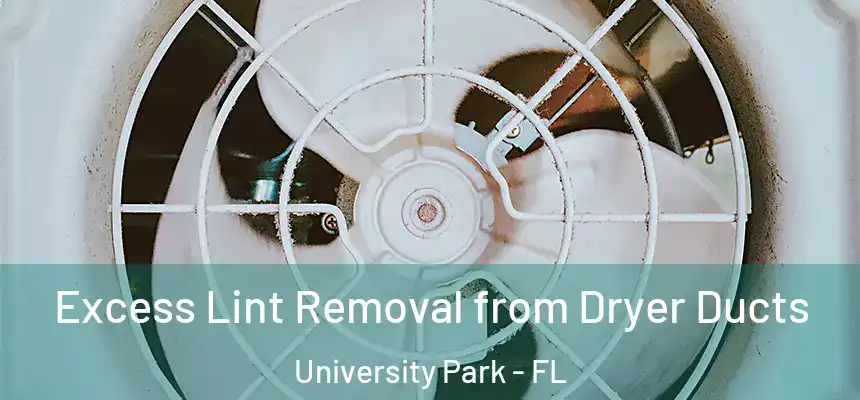  Excess Lint Removal from Dryer Ducts University Park - FL