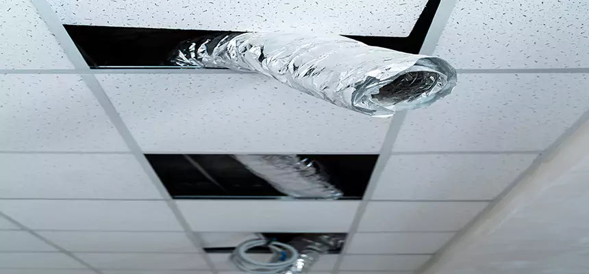 Affordable HVAC Sanitizing After Pest Removal in University Park