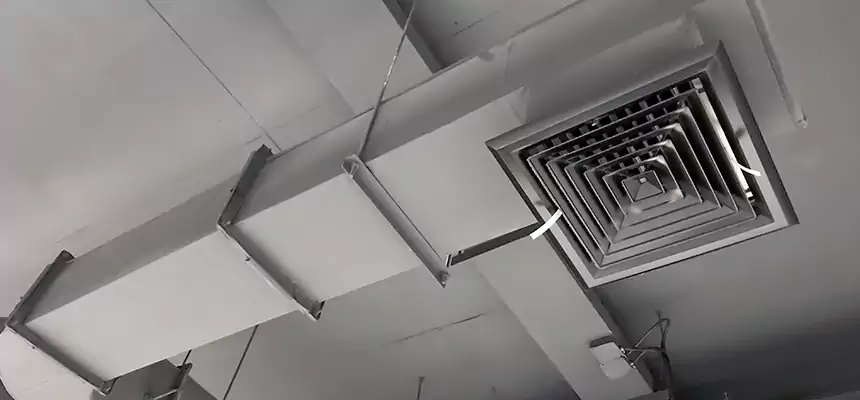 Our Pest Removal From Ducts Services in University Park, FL