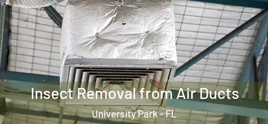 Insect Removal from Air Ducts University Park - FL
