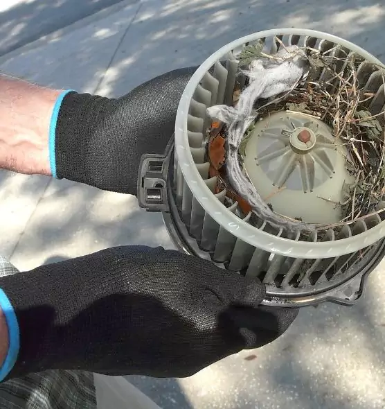 About Air Duct Mice Removal in University Park, FL