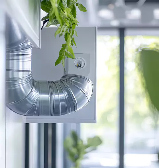 Professional Eco-Safe Dryer Vent Cleaning in University Park, FL