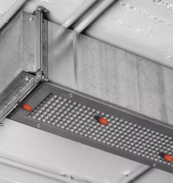 Affordable Insect Removal from Air Ducts in University Park, FL