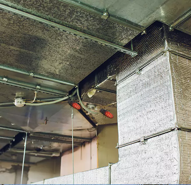 Why Homeowners & Businesses Trust Us University Park, FL?