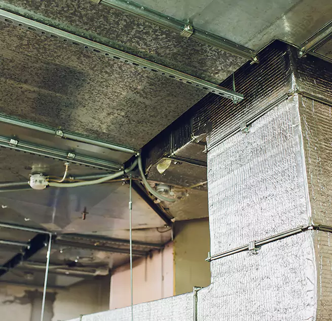 Why Homeowners & Businesses Trust Us in University Park, FL?